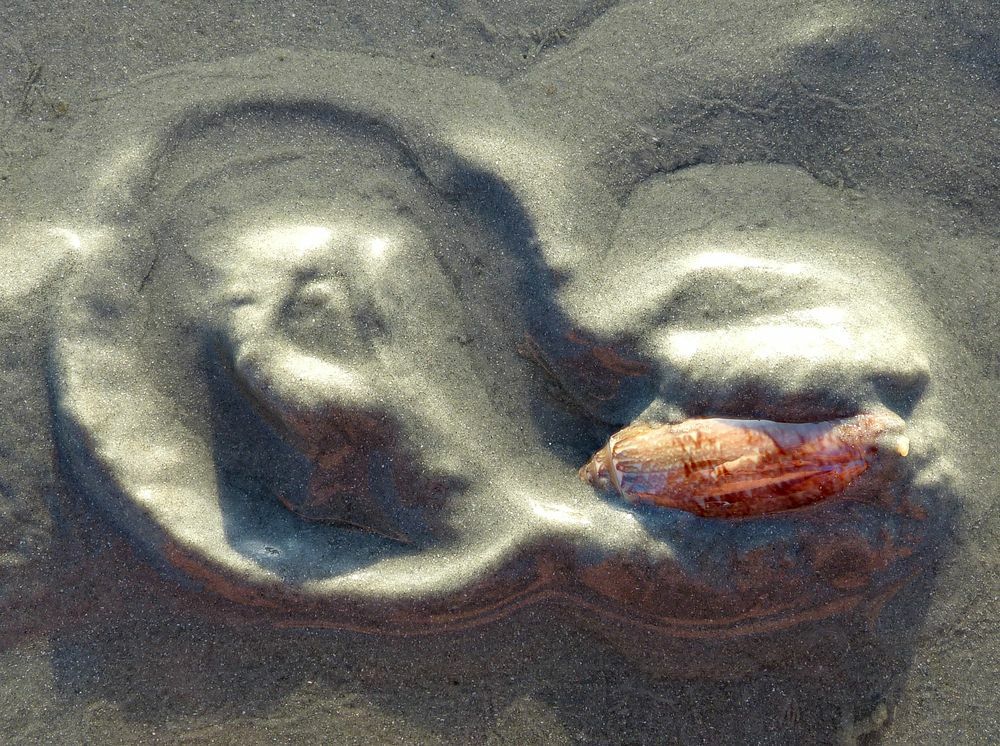 Click to See Next Image